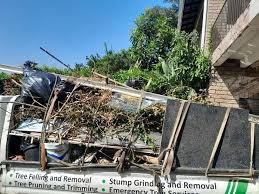 Best Residential Junk Removal  in Lford, MI